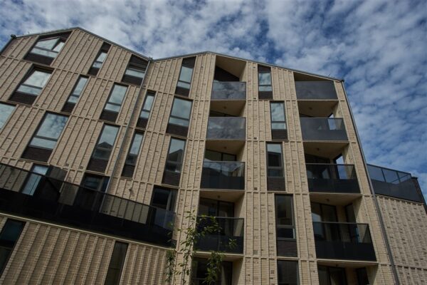 Frameless glass railings